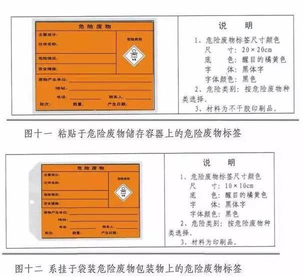 内部精选12码