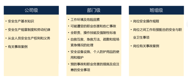 内部精选12码